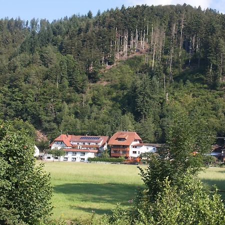 Ferienwohnung Am Rain Winden im Elztal Exterior foto