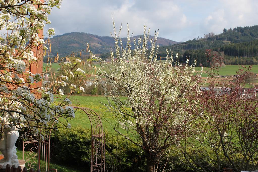 Ferienwohnung Am Rain Winden im Elztal Exterior foto